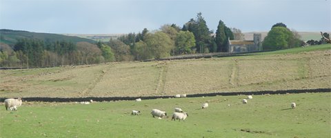 View of St Aidan's Church, Thorneyburn