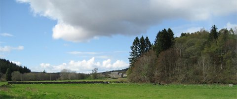 View of The Comb