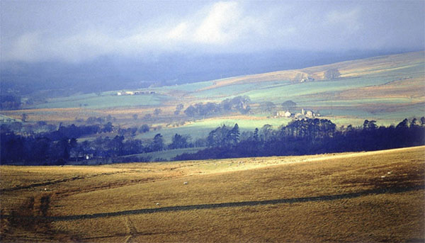 View of Tarset